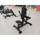 Triceps Dip Machine